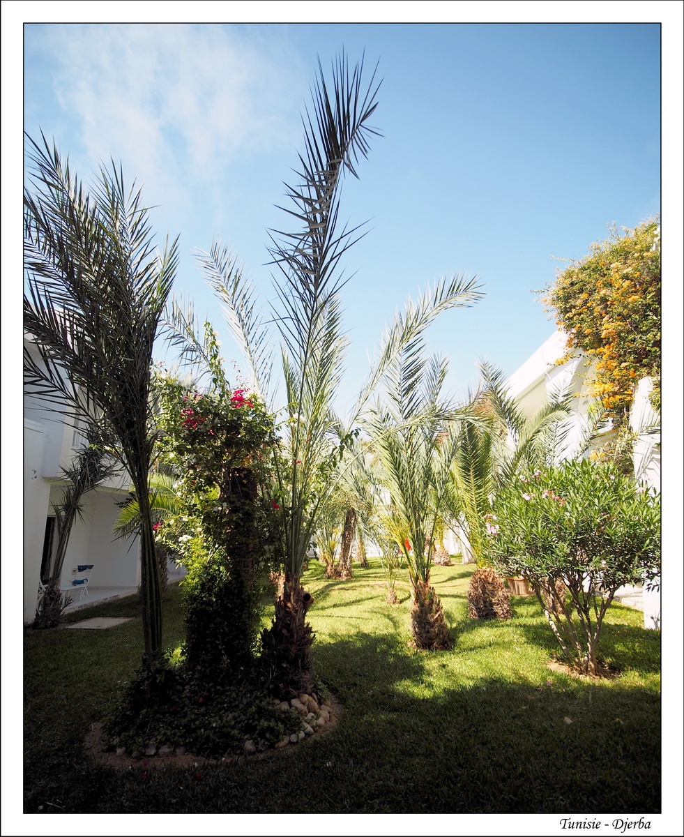 2018 - 05 - Djerba - 21